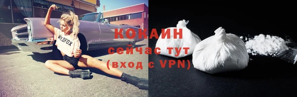 2c-b Козельск