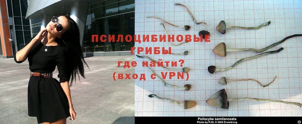 гидропоника Корсаков