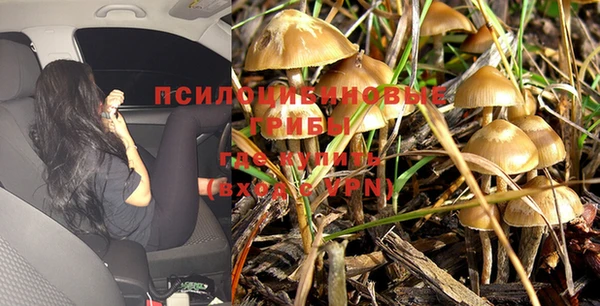гидропоника Корсаков